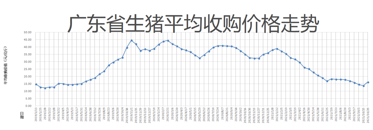 ご大厷↘主彡